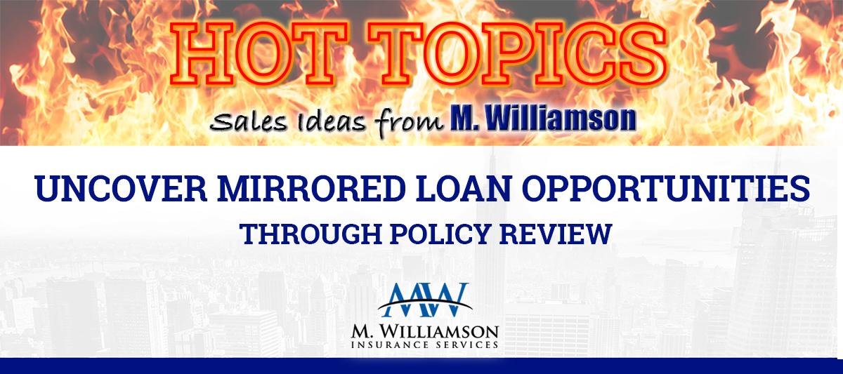 M. Wiliamson Mirrored Loans M. Wiliamson Mirrored Loans